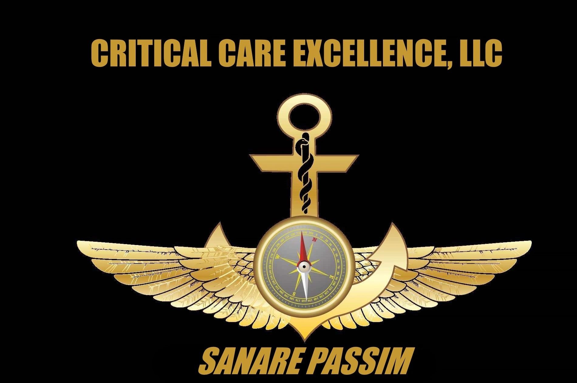 Critical Care Excellence, LLC